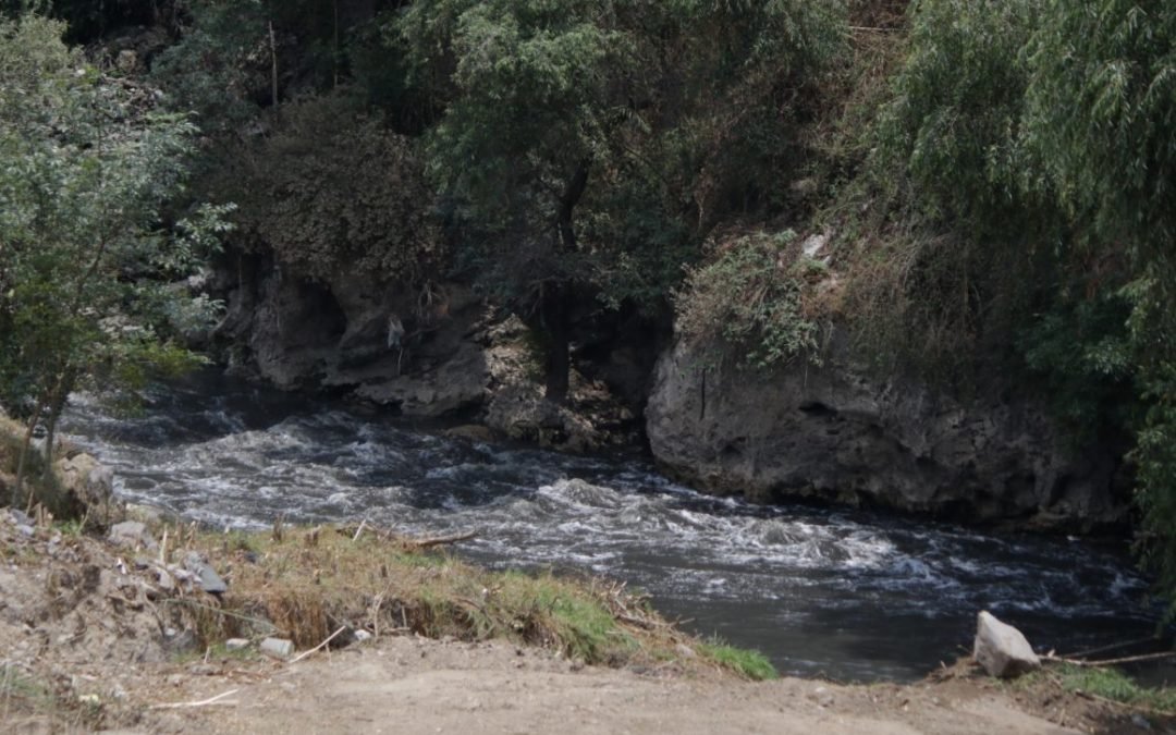 Programa de restauración ecológica: necesaria intervención federal en Tlaxcala