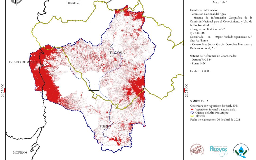 Día de la Tierra: grave pérdida de superficie forestal en Tlaxcala