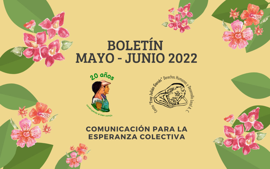 Boletín bimestral mayo-junio 2022