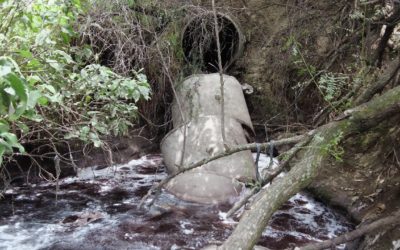 El gobierno local reincide en violar los derechos humanos al medio ambiente sano y a la salud en la Cuenca del Alto Atoyac