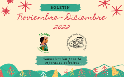 Boletín bimestral noviembre-diciembre 2022