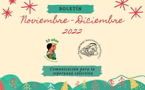 Boletín bimestral noviembre-diciembre 2022