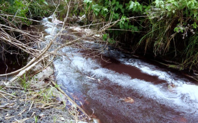 No existen hasta ahora acciones adecuadas del gobierno del estado para enfrentrar la devastación socioambiental de la Cuenca del Alto Atoyac