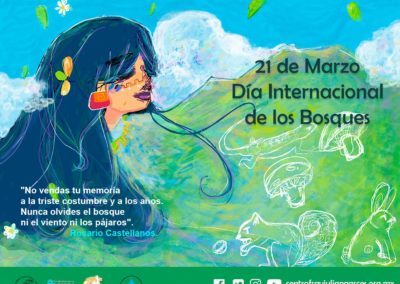 Internacional Bosques