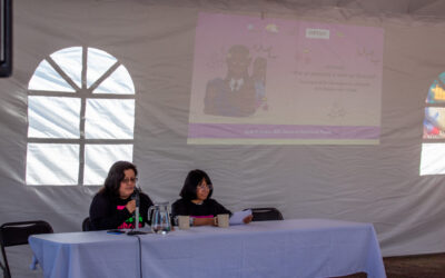 Pronunciamiento en el marco del Día Internacional para la Eliminación de la Violencia contra la mujer