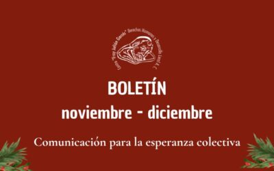 Boletín noviembre – diciembre