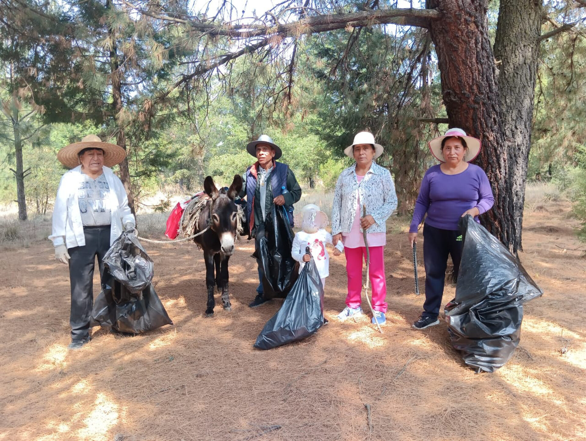 Jornada de limpieza - Tenancingo