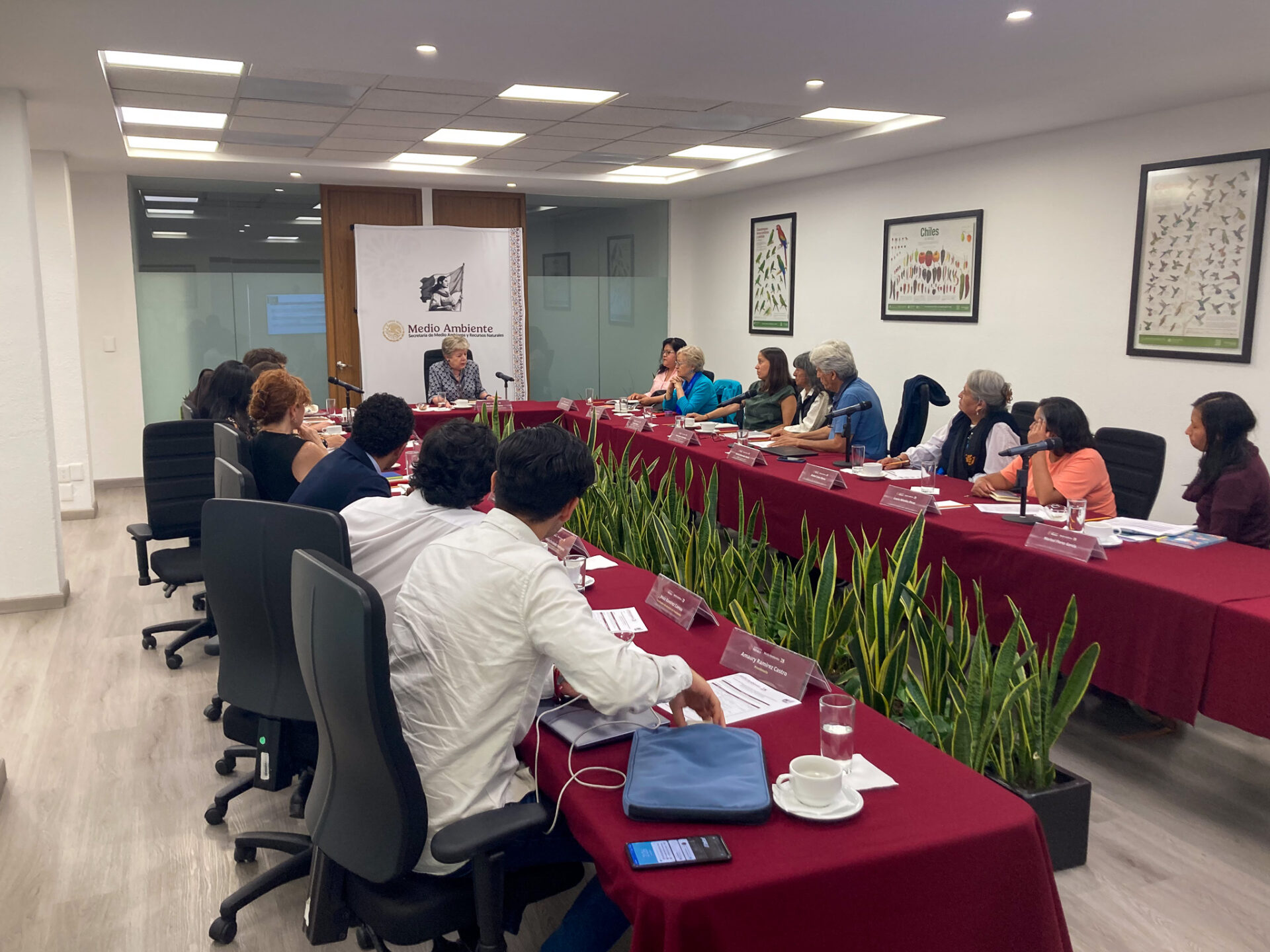 Reunión con la Secretaria de Medio Ambiente y Recursos Naturales (Semarnat)